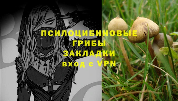 ГАЛЛЮЦИНОГЕННЫЕ ГРИБЫ Арсеньев