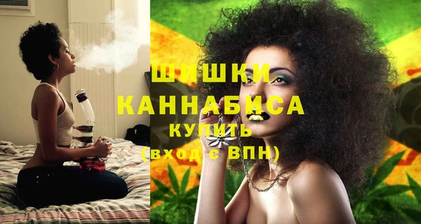 ГАЛЛЮЦИНОГЕННЫЕ ГРИБЫ Арсеньев
