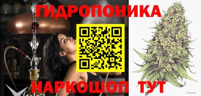 молекула духа Бузулук