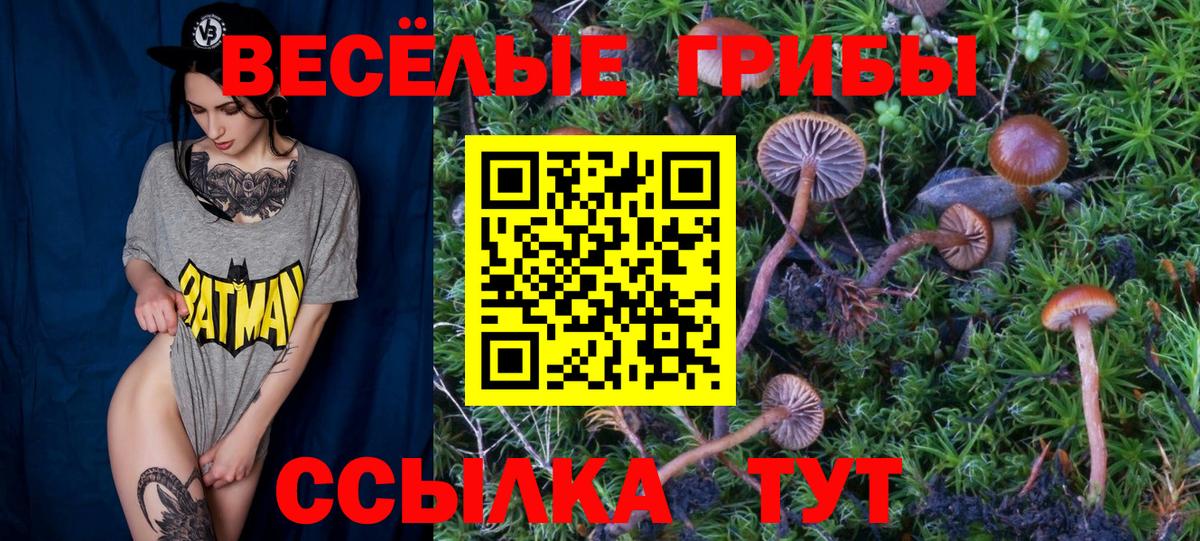 Галлюциногенные грибы MAGIC MUSHROOMS Междуреченск