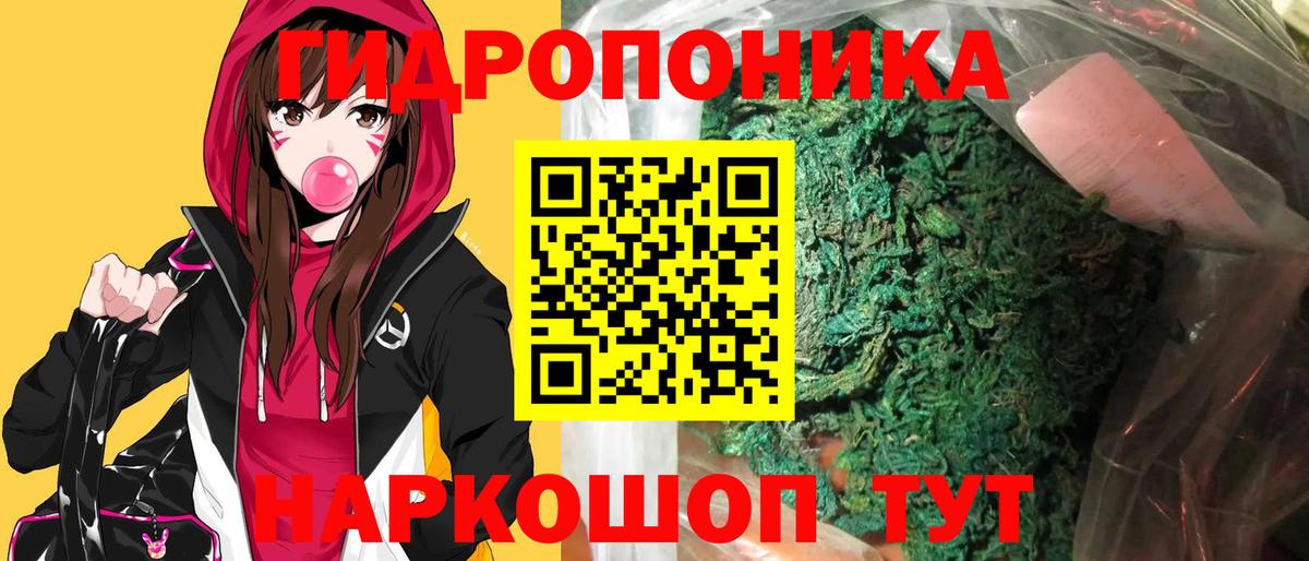 Конопля гибрид Междуреченск